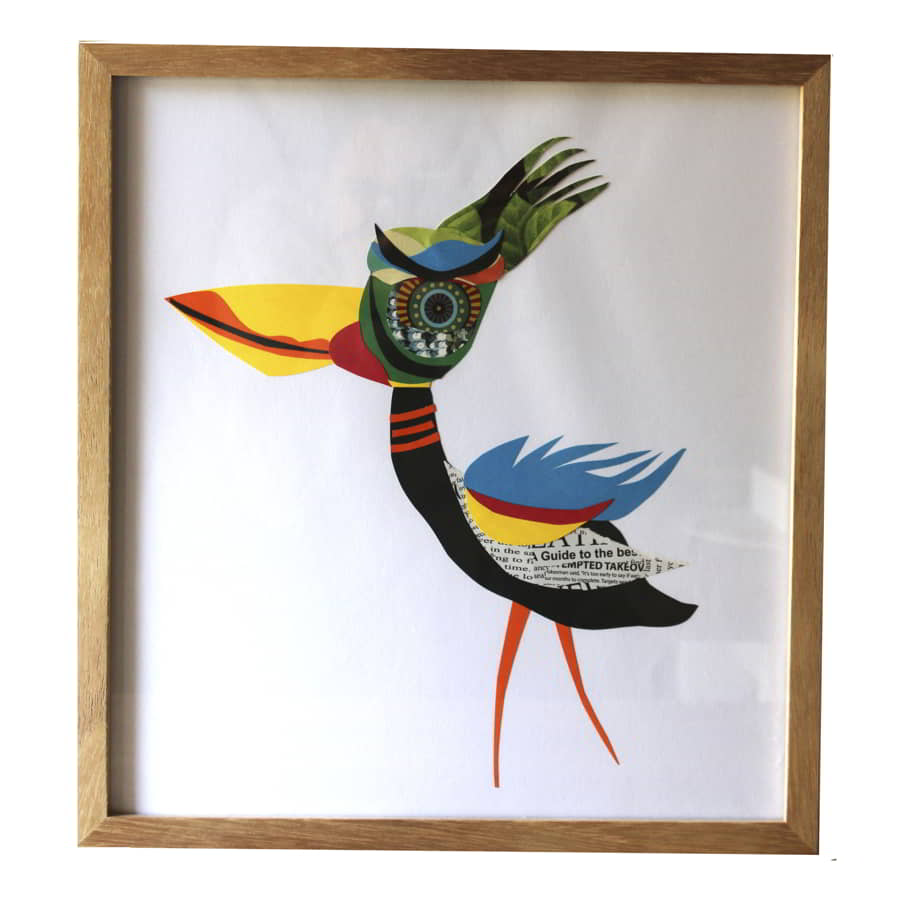 pajaro-collage-2.jpg